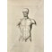 Tavole anatomiche ad uso dei pittori, scultori ed altri artisti