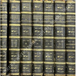 Dizionario di giurisprudenza Dizionario di giurisprudenza