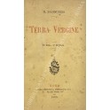 Terra vergine