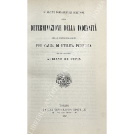 Di alcune fondamentali questioni sulla determinazione della indennità Di alcune fondamentali questioni sulla determinazione della indennità
