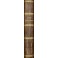 Analisi delle Pandette ossia dizionario ragionato