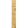 Jani Vincentii Gravinae Originum Juris Civilis Libri tres