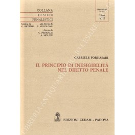 Il principio di inesigibilità nel diritto penale