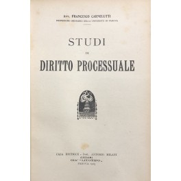 Studi di diritto processuale