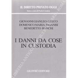 I danni da cose in custodia