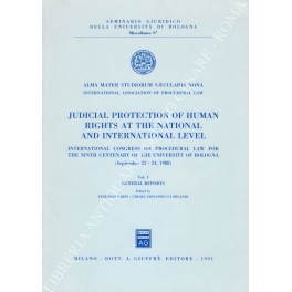 Judicial protection of human rights at the national and international level