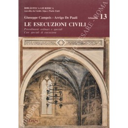 Le esecuzioni civili