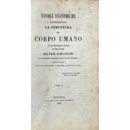 Tavole anatomiche rappresentanti la struttura del corpo umano