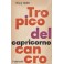 Tropico del Cancro. Tropico del Capricorno