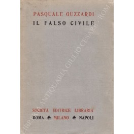 Il falso civile
