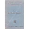 Studi sul processo penale