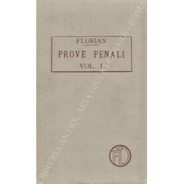 Delle prove penali