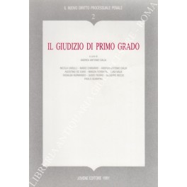 Il giudizio di primo grado Il giudizio di primo grado