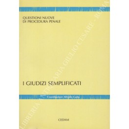 I giudici semplificati