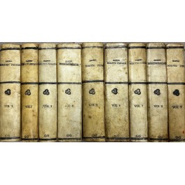 Trattato di diritto penale italiano