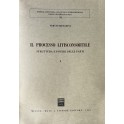 Il processo litisconsortile