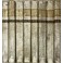 Bibliotheca Canonica Juridica Moralis