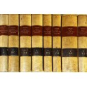Dizionario della lingua italiana