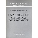 La protezione civilistica dell'incapace