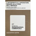 L'interprete e l'operatore dinanzi alla crisi dell'impresa