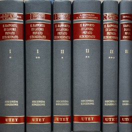 Il rapporto di lavoro privato subordinato Il rapporto di lavoro privato subordinato