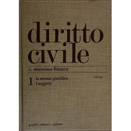 Diritto civile. Vol. I - La norma giuridica. I soggetti