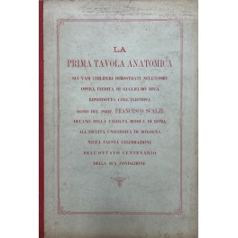 La prima tavola anatomica sui vasi chiliferi La prima tavola anatomica sui vasi chiliferi