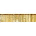 Classici del giallo Mondadori
