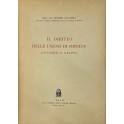 Il diritto delle unioni di imprese.