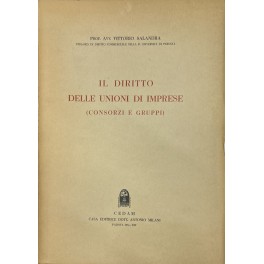 Il diritto delle unioni di imprese.