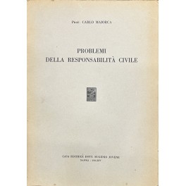 Problemi della responsabilit&agrave; civile