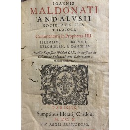 Commentarij in Prophetas IIII