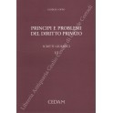 Principi e problemi del diritto privato