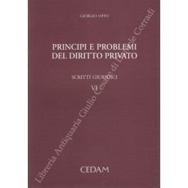 Principi e problemi del diritto privato