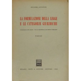 La formulazione della legge e le categorie giuridiche.