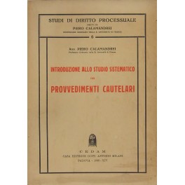 Introduzione allo studio sistematico dei provvedimenti cautelari