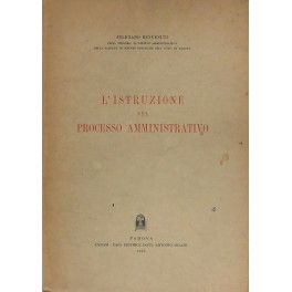 L'istruzione nel processo amministrativo