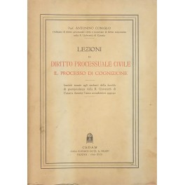 Lezioni di diritto processuale civile. Il processo di cognizione Lezioni di diritto processuale civile. Il processo di cognizione