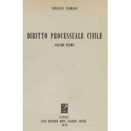 Diritto processuale civile. 