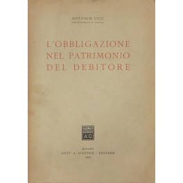 L'obbligazione nel patrimonio del debitore