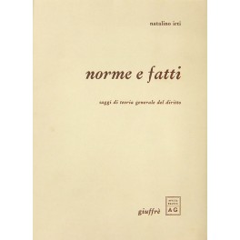 Norme e fatti. Saggi di teoria generale del diritto