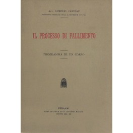 Il processo di fallimento. Programma di un corso
