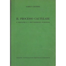 Il processo cautelare