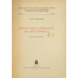 Saggio sulla pubblicità dei beni pubblici