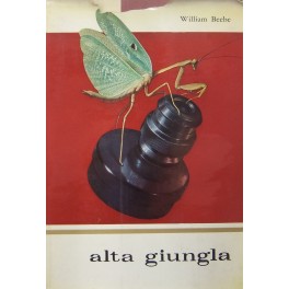 Alta giungla