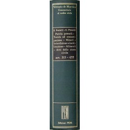 Patria potestà. Tutela ed emancipazione. Minori. Interdizione e inabilitazione. Alimenti. Atti dello stato civile. Art. 315-455