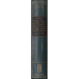 Persone fisiche e giuridiche. Domicilio e residenza. Assenza e morte presunta. Parentela e affinità. Art. 1-78