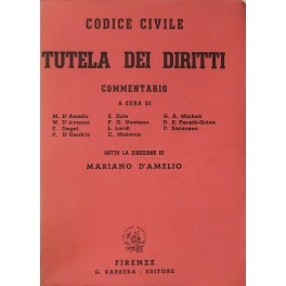 Codice civile. Libro della tutela dei diritti. Commentario