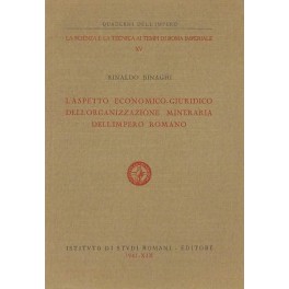 L'aspetto economico-giuridico dell'organizzazione L'aspetto economico-giuridico dell'organizzazione