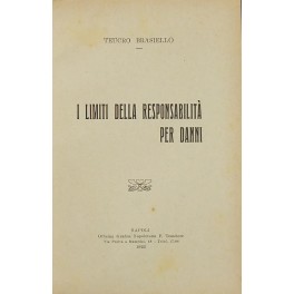 I limiti della responsabilità per danni I limiti della responsabilità per danni